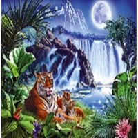 Алмазна мозаїка за номерами Тигри, 40x50 см, полотно на рамі