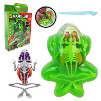 Іграшковий лабораторний набір Жаба, 801B, скелет, внутрішні органи, інструмент