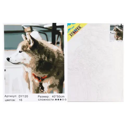 Набір для розпису по номерах Погляд хаскі, Strateg, 40x50 см, DY120