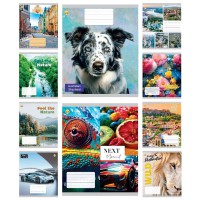 Зошити учнівські 18 аркушів лінія Тверда ТЕ42202 МІКС2, 20 шт. в упаковці