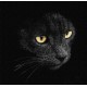 Набір для розпису по номерах ТМ Ідейка Погляд хижака, 40x40 см, КНО4204