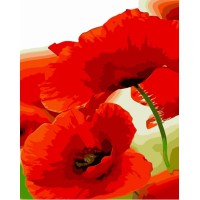 Набір для розпису по номерах Маки, Strateg, 30x40 см, SS6805