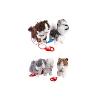 Улюбленець на повідці (в асортименті) C73702