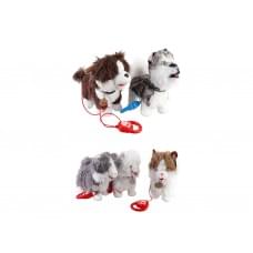 Улюбленець 2 види, на повідці /60/