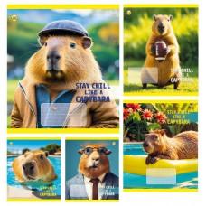Зошит 18 арк.клітинка Тверда ТА51207 CAPYBARA, 20/400, 5к. ціна за 20 шт.
