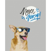 Набір для розпису по номерах Ніколи не здавайся!, 40x50 см, BS52552