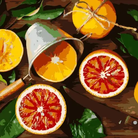 Набір для розпису по номерах Апельсиновий вибух, Strateg, 40x40 см, SK028