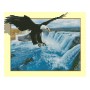 Алмазна картина ft30073 "орел і водоспад", розміром 40х50 см