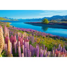 Кастор пазли "озеро текапо, нова зеландія" 47*33см b-53896