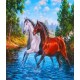 Алмазна мозаїка на підрамнику Коні 40×50 см 71089_BGLE