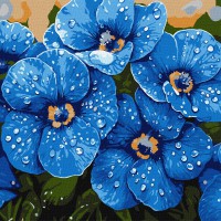 Набір для розпису по номерах Фіалки в росі, Ideyka, 40x40 см, КНО3316