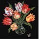 Набір для розпису по номерах Витончені тюльпани, 40x40 см, КНО3216