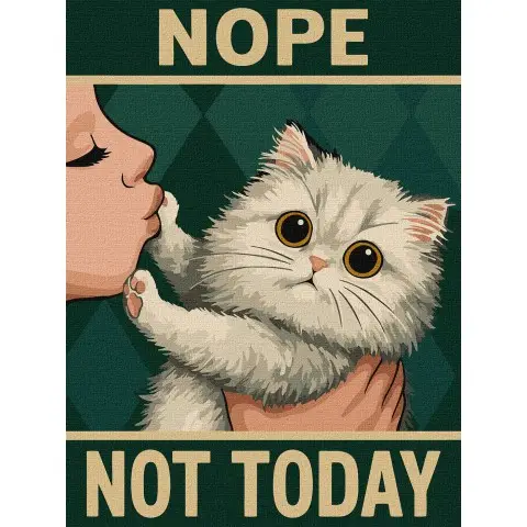 Картина за номерами Постер Не сьогодні Ideyka 30×40 см КНО6802