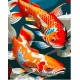 Набір для розпису по номерах Пара рибок, Strateg, 30x40 см, SS6742
