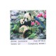 Алмазна мозаїка Панды 30×40 см 60839