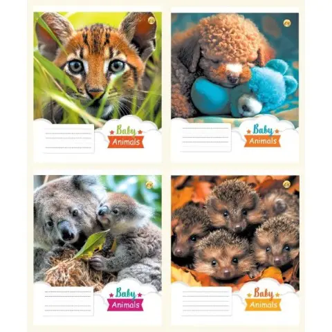 Зошити учнівські 12 аркушів коса лінія 25 штук в упаковці ТЕ43107