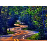 Алмазна мозаїка на підрамнику Дорога в лісі 40×50 см 71719_BGLE