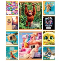 Зошити учнівські 18 аркушів клітинка Тверда Мікс 4, 20 шт. в упаковці