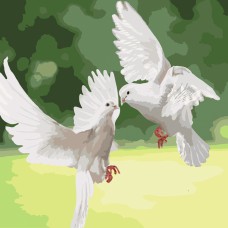 Картина за номерами  "білосніжні голуби" 40*40см