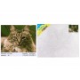 Картина за номерами горда кішка strateg розміром 40х50 см (dy186)