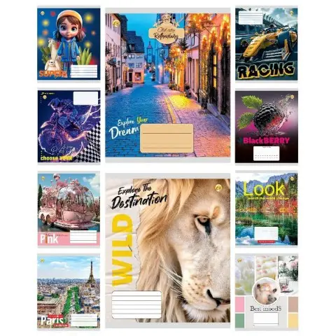 Зошити учнівські 18 аркушів клітинка 20 штук в упаковці ТЕ41205