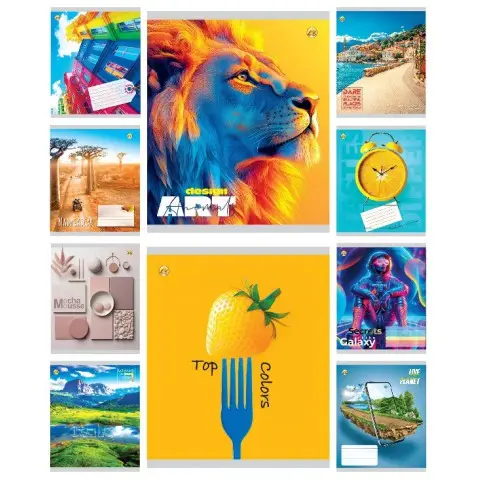 Зошити учнівські 48 аркушів лінія Тверда Мікс 3, 10 шт. в упаковці