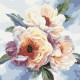 Картина за номерами Краса півоній 40×40 см КНО3213