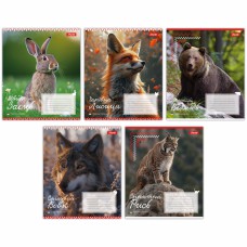 Зошити учнівські формату А5 18 аркушів лінія 1B Animals of Ukraine, 25 шт. в упаковці