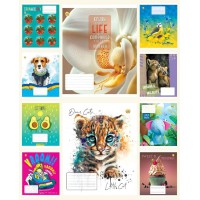 Зошити учнівські 12 аркушів лінія Тверда ТЕ42101 12ЛВ1 МІКС, 25 шт. в упаковці