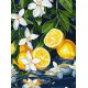 Набір для розпису по номерах Лимон у розрізі, Ideyka, 30x40 см, КНО5733