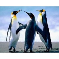 Алмазна мозаїка за номерами Пінгвіни, 30x40 см, полотно на рамі