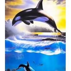 Алмазна мозаїка на підрамнику "Касатка" Josef Otten 30х40см, у картонній упаковці, 60944_BGLD