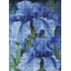 Алмазна мозаїка Блакитні іриси ©Юлія Томеско 30×40 см AMO7129