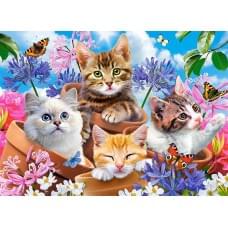 Кастор пазлы 070 "Котята с цветами" 40*29см B-070107