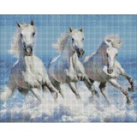 Набір з алмазною мозаїкою Стрімка хвиля AMO7155, 40x50 см