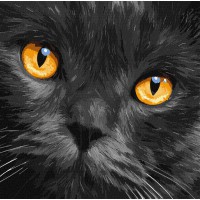 Набір для розпису по номерах Бурштинові очі, 40x40 см, КНО4391