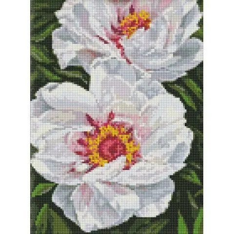 Набір з алмазною мозаїкою Білі півонії AMO7753, 30x40 см