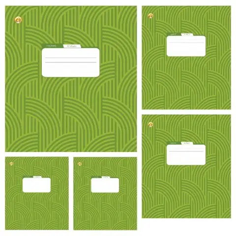 Зошити учнівські 18 аркушів лінія Тверда ТЕ22202 Фонова, 20 шт. в упаковці