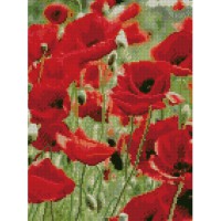 Алмазна картина Макове поле HX124, 30x40 см