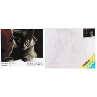 Набір для розпису по номерах Кіт-науковець, Strateg, 40x50 см, DY178