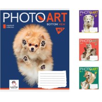 Зошити учнівські 48 аркушів лінія. YES Photoart 10 шт. в упаковці