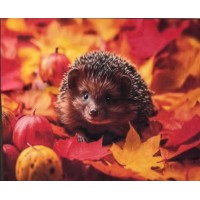 Набір для творчості алмазна картина Осінь у колючках Strateg SK88227, 40x50 см