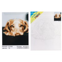 Набір для розпису по номерах Золотий лабрадор, Strateg, 40x50 см, DY068