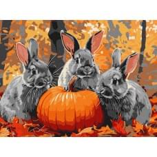 Набір для розпису по номерах "Кролячі пригоди" Ideyka 30х40см КНО6636