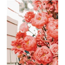 Картина за номерами  чудові троянди strateg розміром 30х40 см (ss-6596)