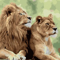 Картина за номерами  подружжя левів strateg розміром 40х40 см (sk003)