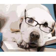 Картина за номерами собака в окулярах strateg розміром 40х50 см (hh089)