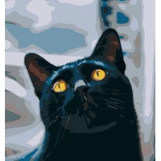 Картина за номерами  котик з жовтими очима strateg розміром 40х40 см (sk022)
