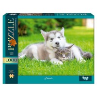 Пазли 1000 Friends серія 13 №5 C1000-13-05