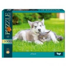 Пазли 1000 елементів, серія 13 №5 Friends DANKO TOYS C1000-13-05